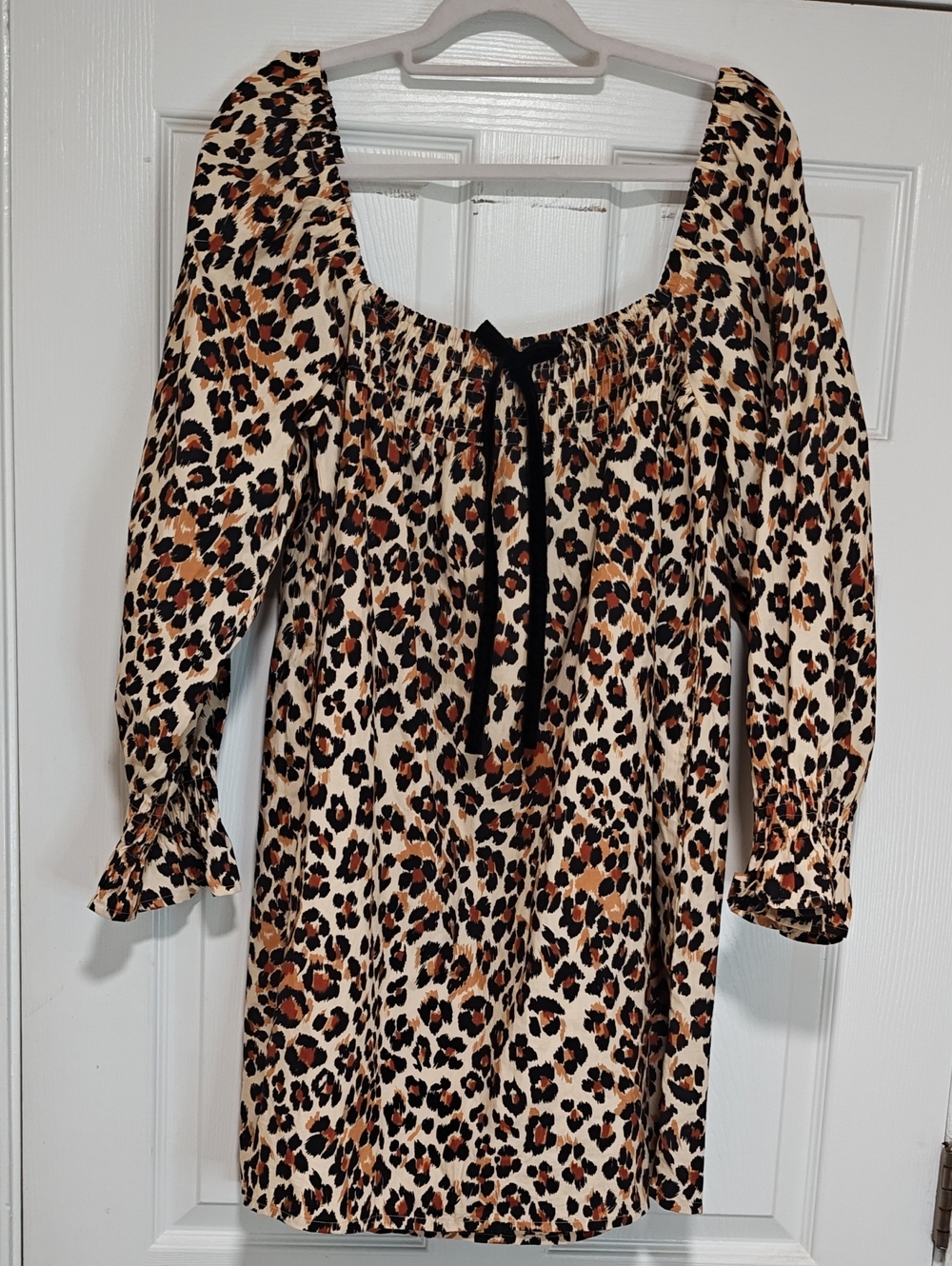 Leopard Print Mini Dress with Tie Detail